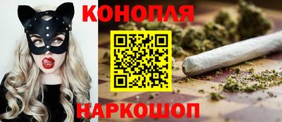 mdpv Краснознаменск