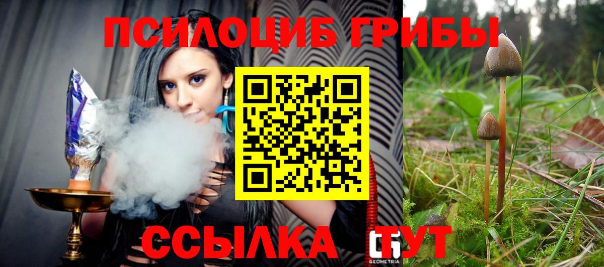 Галлюциногенные грибы GOLDEN TEACHER Кандалакша