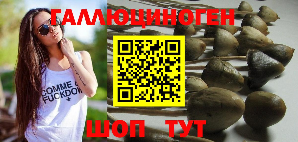 Галлюциногенные грибы мухоморы  Галлюциногенные грибы мухоморы  Кандалакша  Вход с VPN 